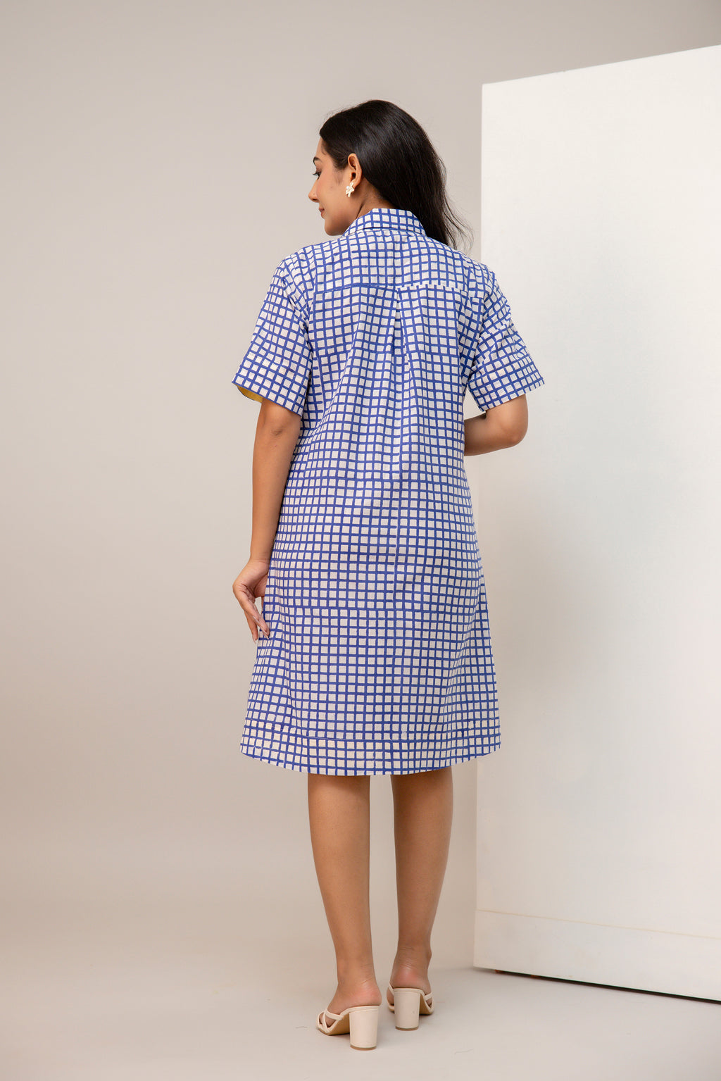 Ambar Hues Dress - Blue Check