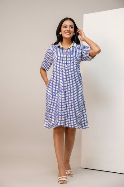 Blue and white check hand block printed cotton A-line shirt dress